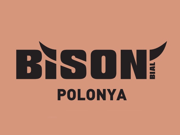 BISON