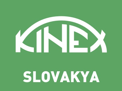 KINEX